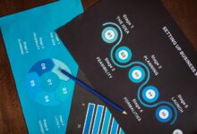 contact for business support