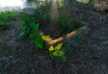 instagram for business growth