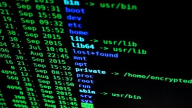 protecting online privacy tips