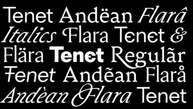 What is a Type Foundry and Why Designers Need It