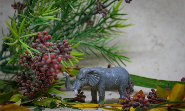 curious black model rk547h35