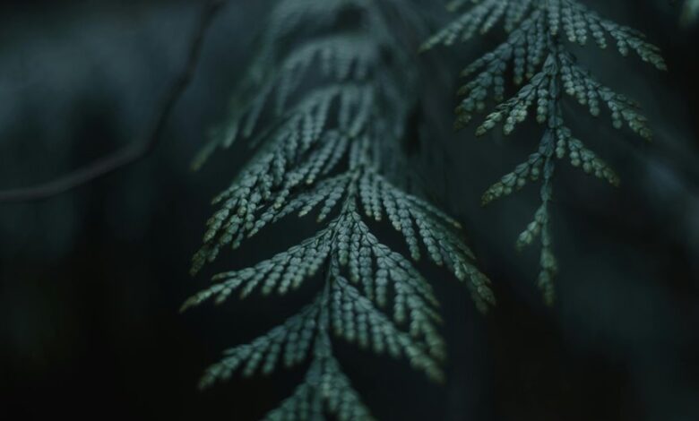 insightful and meaningful name