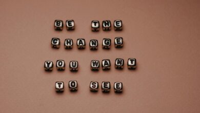 inspiring change through projects