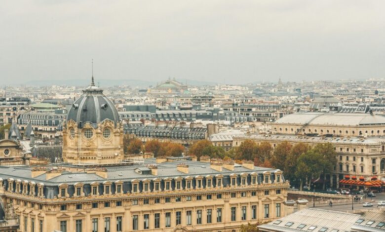 nideinfrance captivates audiences globally