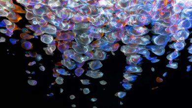 apex fusion flow beam